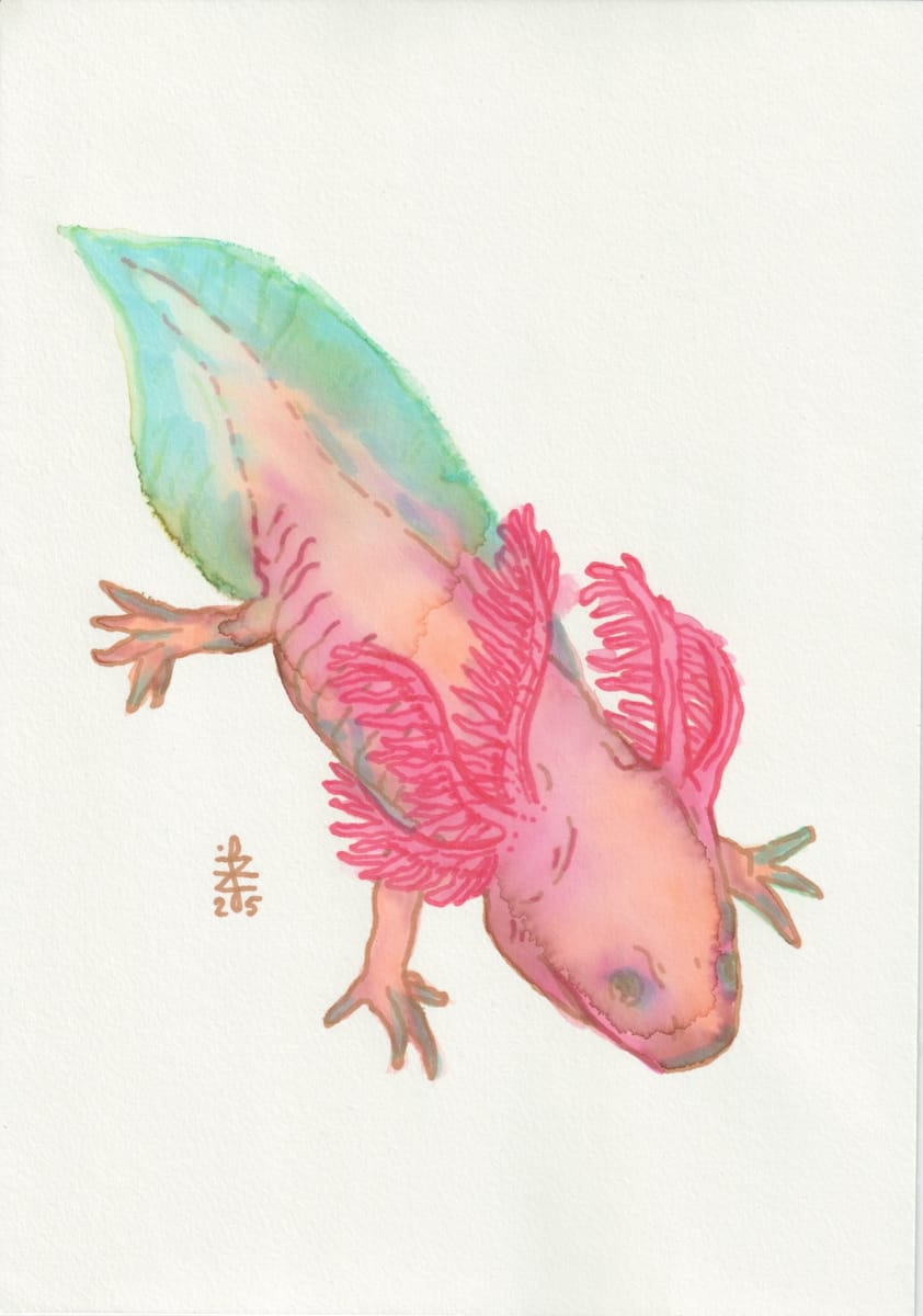 axolotl-2025